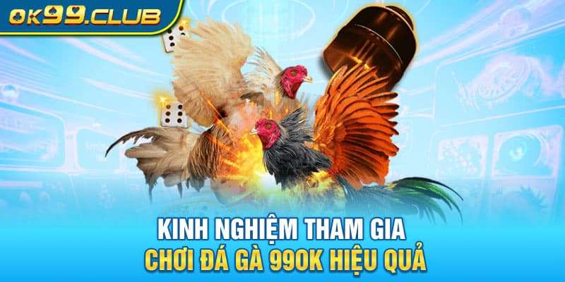 Kinh nghiệm tham gia chơi đá gà 99OK hiệu quả